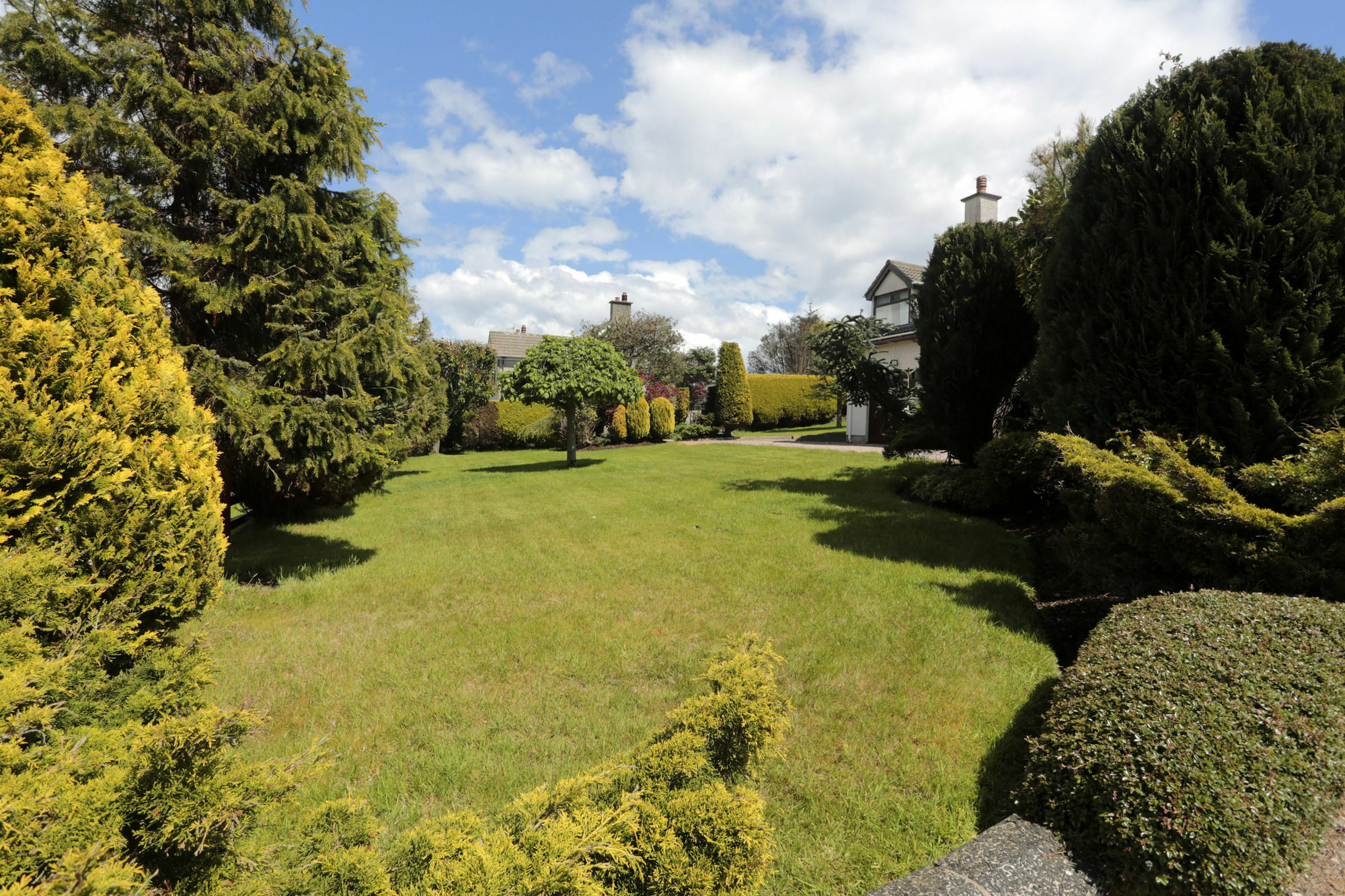 Sleepy Hollow B&B Ballymena Exterior foto